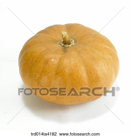 vegetable, food, pumpkin, one, object View Large Photo Image Stock Image - vegetable, food, pumpkin, one, object. Fotosearch