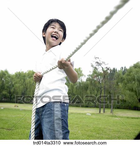 Boys playing at tug of war at the park View Large Photo Image Stock Image - Boys playing at tug of war at the park. Fotosearch