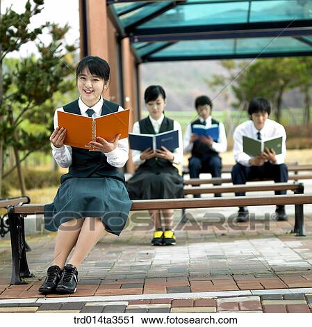 Students reading books on the bench in school View Large Photo Image Stock Image - Students reading books on the bench in school. Fotosearch