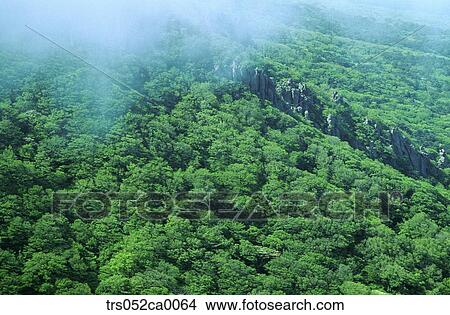 Jeju Island, Scene of Mt. Hanla View Large Photo Image Picture - Jeju Island, Scene of Mt. Hanla. Fotosearch