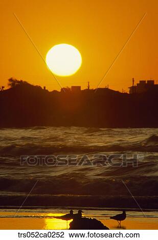Jeju Island/ beach with its sunset View Large Photo Image Stock Image - Jeju Island/ beach with its sunset. Fotosearch