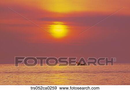 Stock Photo - Jeju Island/ boat in the flowed sea. Fotosearch