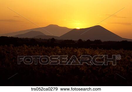 Jeju Island/ glowed grass View Large Photo Image Stock Photo - Jeju Island/ glowed grass. Fotosearch