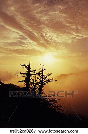 Jeju Island/ glowed sunset hanla mountain View Large Photo Image Stock Photo - Jeju Island/ glowed sunset hanla mountain. Fotosearch