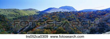 Jeju Island/ peak of hanla mountain in winter View Large Photo Image Stock Photo - Jeju Island/ peak of hanla mountain in winter. Fotosearch