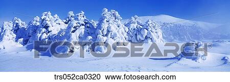 Jeju Island/snow covered winter forest View Large Photo Image Stock Image - Jeju Island/snow covered winter forest. Fotosearch
