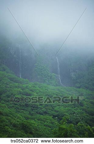 summer, misty fall View Large Photo Image Stock Image - summer, misty fall. Fotosearch