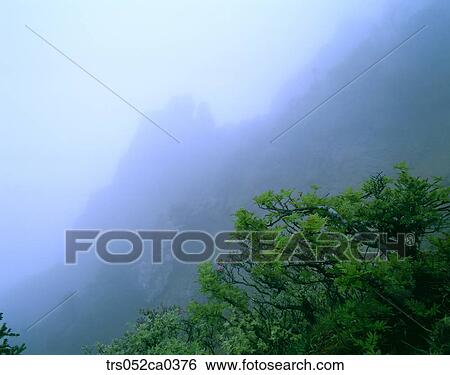 summer, misty mountain peak View Large Photo Image Stock Photograph - summer, misty mountain peak. Fotosearch
