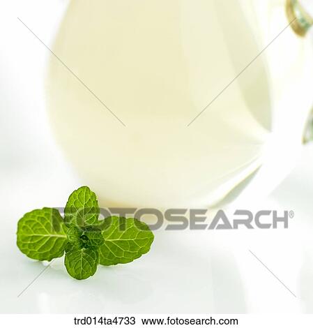 Apple mint on the galls teacup, Herbal tea View Large Photo Image Stock Image - Apple mint on the galls teacup, Herbal tea. Fotosearch