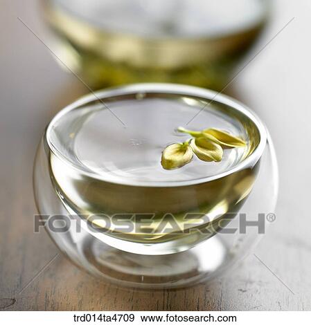 Chrysanthemum flower on the teacup, Chinese tea and Japanese tea View Large Photo Image Stock Photo - Chrysanthemum flower on the teacup, Chinese tea and Japanese tea. Fotosearch