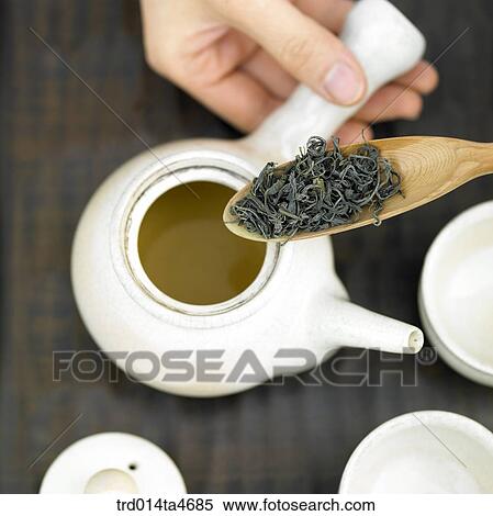 Green tea leaves and teapot, art of tea making View Large Photo Image Stock Photography - Green tea leaves and teapot, art of tea making. Fotosearch