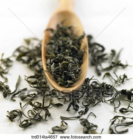 Green tea leaves on the plate, View Large Photo Image Stock Photo - Green tea leaves on the plate,. Fotosearch
