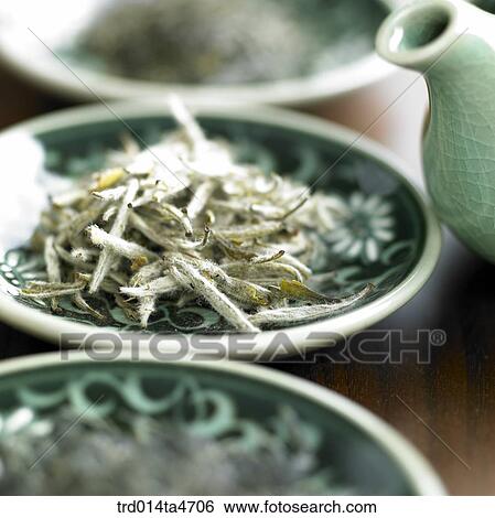 Green tea leaves on the plates and teapot View Large Photo Image Stock Photograph - Green tea leaves on the plates and teapot. Fotosearch