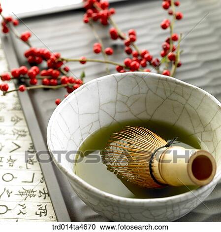 Maximowiczia typica and teacup on the teatray, art of tea making View Large Photo Image Stock Image - Maximowiczia typica and teacup on the teatray, art of tea making. Fotosearch