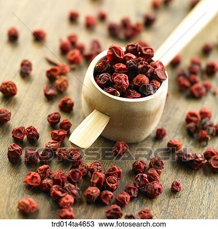 Maximowiczia typica, Chinese medicine, tea making tool View Large Photo Image Stock Image - Maximowiczia typica, Chinese medicine, tea making tool. Fotosearch