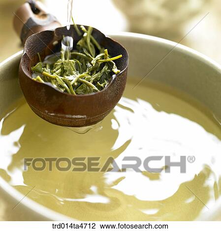 Tea filer with green tea leaves and large bowl View Large Photo Image Stock Image - Tea filer with green tea leaves and large bowl. Fotosearch