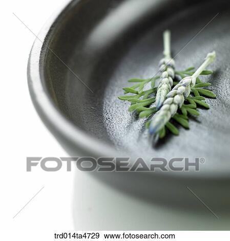 Tea leaf on the tray, Herbal tea, herb View Large Photo Image Stock Photo - Tea leaf on the tray, Herbal tea, herb. Fotosearch