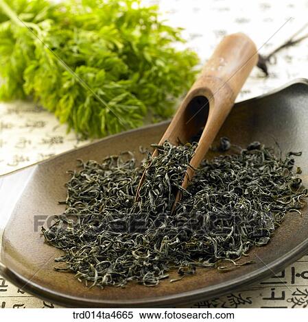 Tea leaves on the plate and tea digger, Oriental tea stuff View Large Photo Image Stock Photography - Tea leaves on the plate and tea digger, Oriental tea stuff. Fotosearch