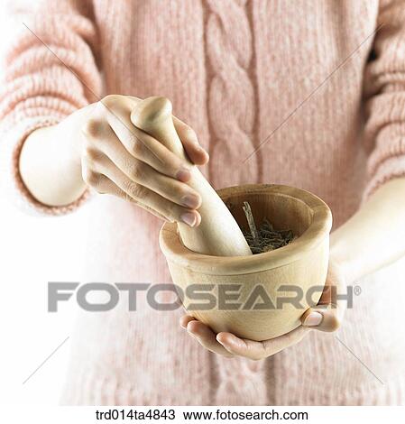 a person grinding Oriental herb to powder View Large Photo Image Stock Image - a person grinding Oriental herb to powder. Fotosearch