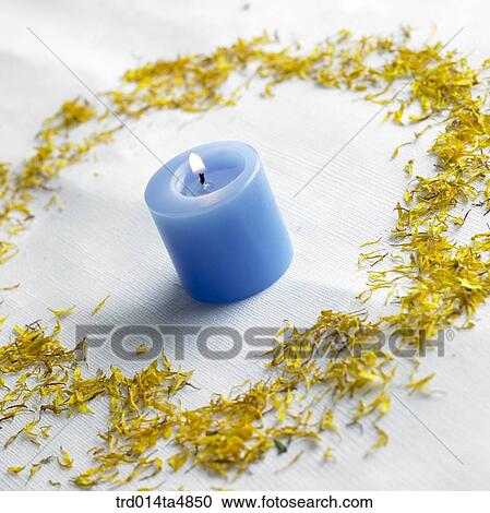 candles and dried wild chrysanthemum View Large Photo Image Stock Image - candles and dried wild chrysanthemum. Fotosearch
