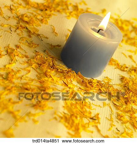 candles and dried wild chrysanthemum View Large Photo Image Stock Image - candles and dried wild chrysanthemum. Fotosearch