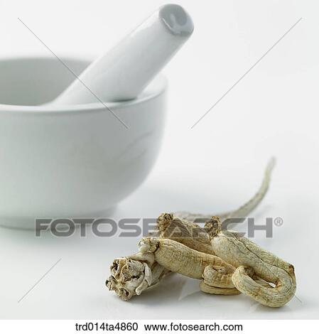 Stock Image - Chinese medicine, a bowl and ginseng. Fotosearch