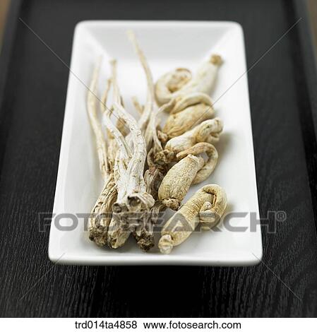 Chinese medicine, ginseng and balloonflower View Large Photo Image Stock Photo - Chinese medicine, ginseng and balloonflower. Fotosearch