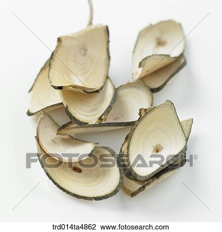 Chinese medicine, Hovenia dulcis View Large Photo Image Stock Image - Chinese medicine, Hovenia dulcis. Fotosearch