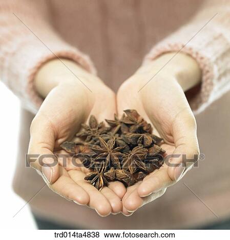 Chinese medicine, medical on the hand View Large Photo Image Stock Photo - Chinese medicine, medical on the hand. Fotosearch