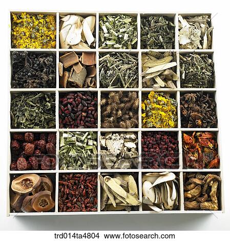 Chinese medicine on sectional container View Large Photo Image Picture - Chinese medicine on sectional container. Fotosearch