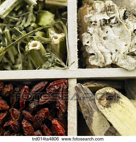 Chinese medicine on sectional container View Large Photo Image Stock Photograph - Chinese medicine on sectional container. Fotosearch