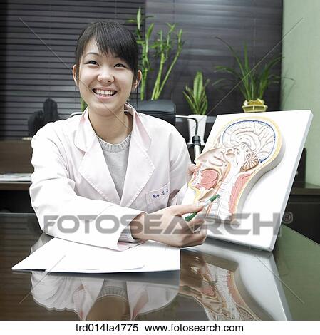 Chinese medicine oriental medicine/Doctor explaining to patient View Large Photo Image Stock Photography - Chinese medicine oriental medicine/Doctor explaining to patient. Fotosearch
