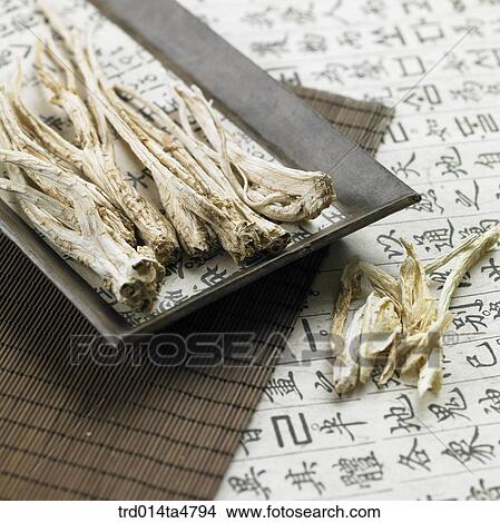 Platycodon on the plate View Large Photo Image Picture - Platycodon on the plate. Fotosearch