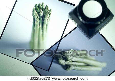 Stock Image - Image/two pieces of films and loupe on a lightbox. Fotosearch