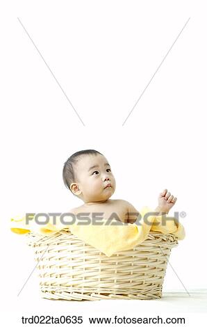a baby in a basket View Large Photo Image Stock Photography - a baby in a basket. Fotosearch