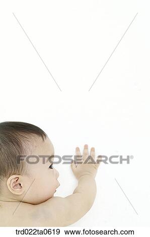 a baby View Large Photo Image Stock Photo - a baby. Fotosearch