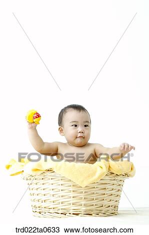 Stock Image - a baby with a toy in a basket. Fotosearch
