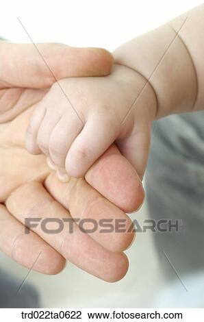 a baby's hand and an adult's hand View Large Photo Image Stock Image - a baby's hand and an adult's hand. Fotosearch