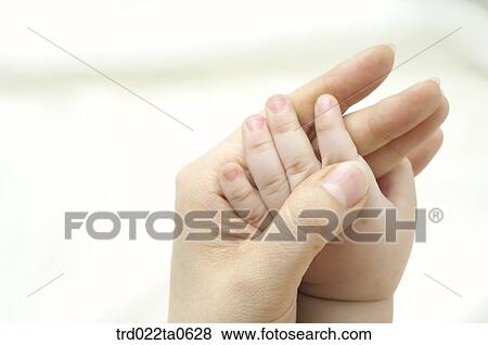 a baby's hand with an adult's hand View Large Photo Image Stock Photo - a baby's hand with an adult's hand. Fotosearch