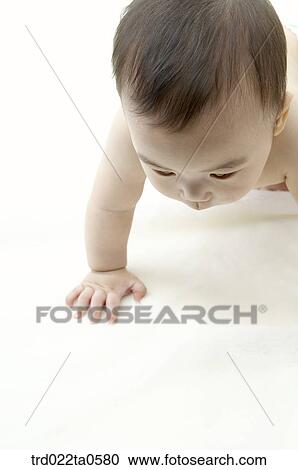 a toddling baby View Large Photo Image Stock Image - a toddling baby. Fotosearch