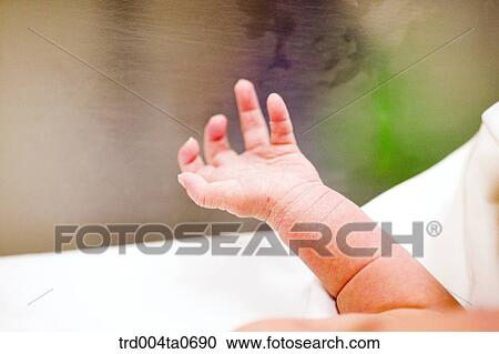 a baby in an incubator View Large Photo Image Stock Image - a baby in an incubator. Fotosearch