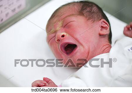 a baby in an incubator View Large Photo Image Stock Photograph - a baby in an incubator. Fotosearch