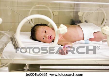 Stock Photography - a baby in an incubator. Fotosearch