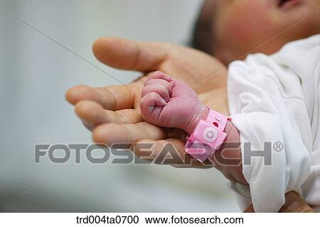 a baby's hand View Large Photo Image Stock Image - a baby's hand. Fotosearch