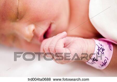 a baby's hand View Large Photo Image Stock Photo - a baby's hand. Fotosearch