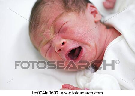a crying newborn baby View Large Photo Image Stock Photo - a crying newborn baby. Fotosearch