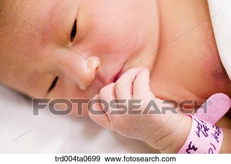 a newborn baby's face View Large Photo Image Stock Photo - a newborn baby's face. Fotosearch