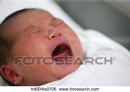 a newborn baby's face View Large Photo Image Stock Photograph - a newborn baby's face. Fotosearch