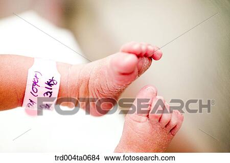 a newborn baby's feet View Large Photo Image Picture - a newborn baby's feet. Fotosearch