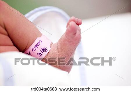 a newborn baby's feet View Large Photo Image Stock Image - a newborn baby's feet. Fotosearch